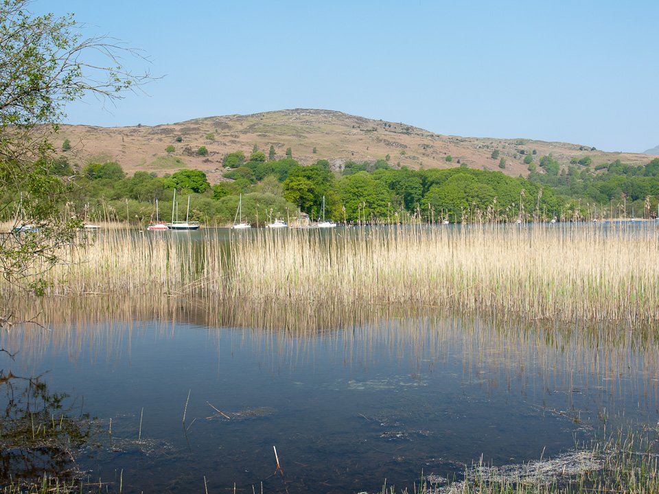 P5243481.jpg