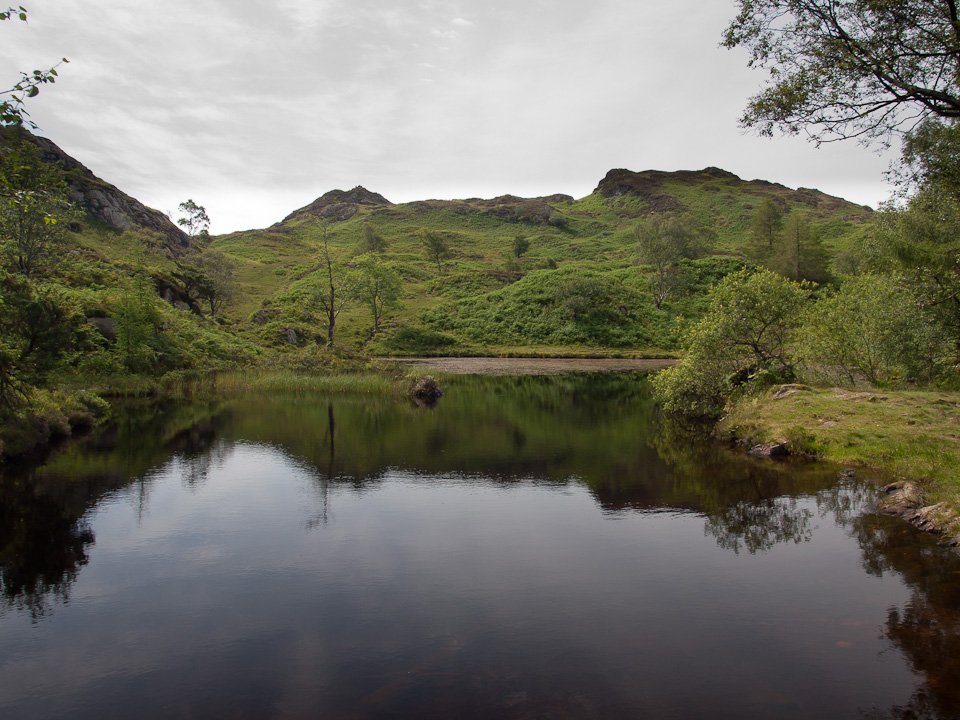 P7214184.jpg