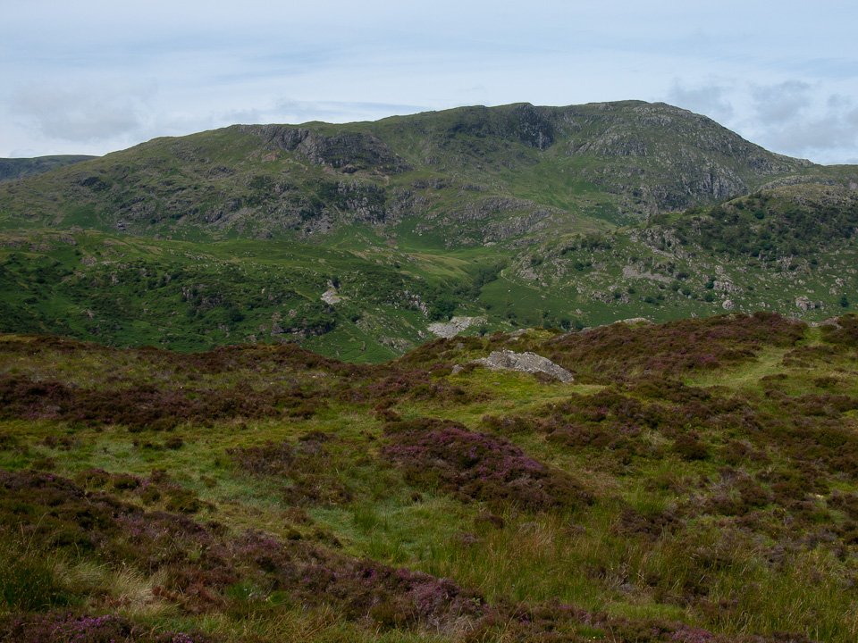 P7214210.jpg