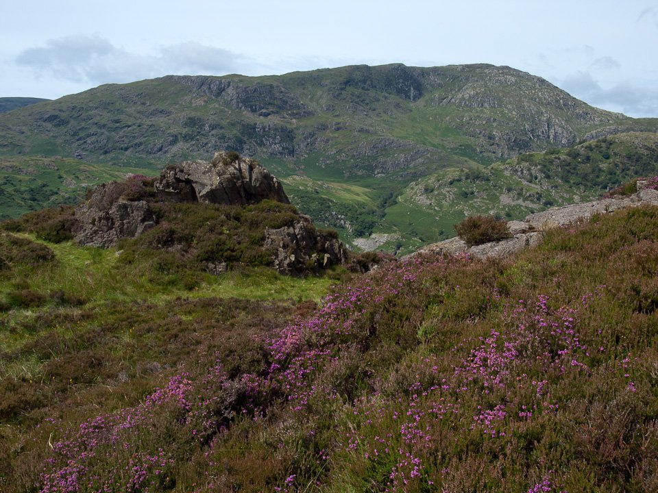 P7214247.jpg