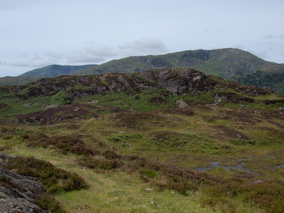 P7214259.jpg