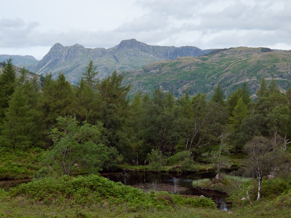 P7214262.jpg