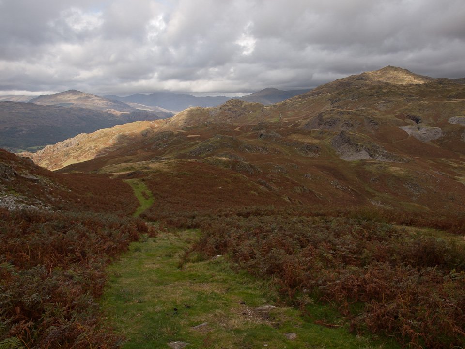 P9285994.jpg