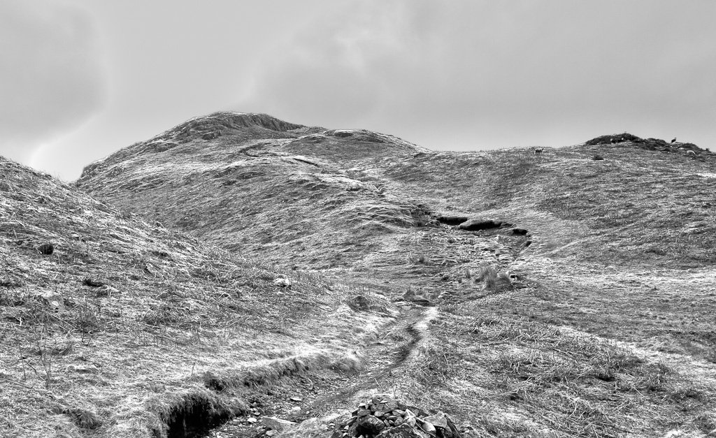 P3041963-Edit