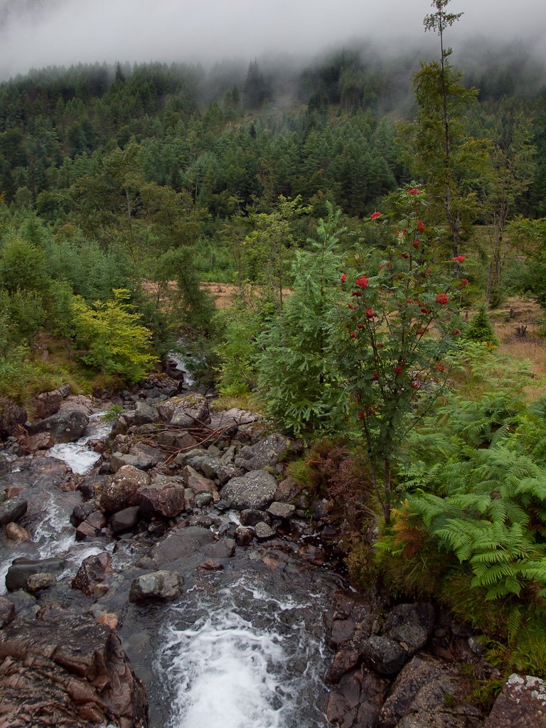P8244631