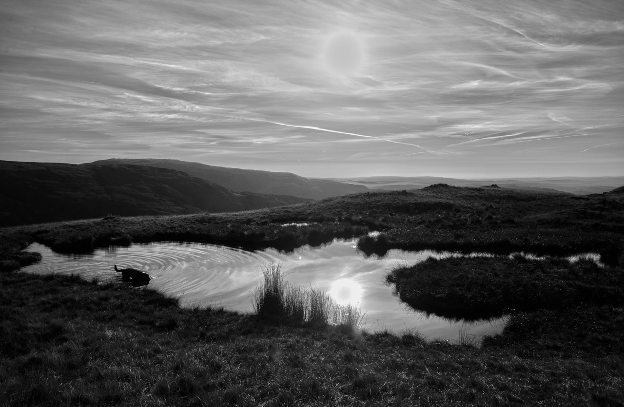 610_5825-Edit