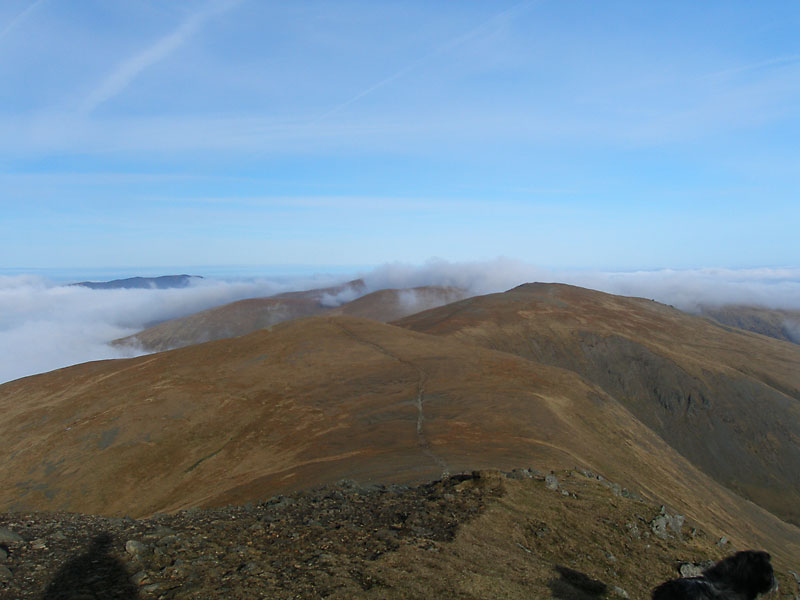 White Side, Raise and the Dodd's from Helvellyn Lower Man