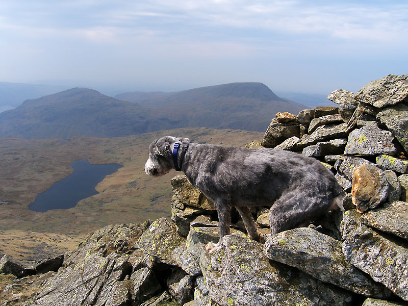 Angus tries out the famous cairn and viewpoint on Red Pike known as 'The Chair' which lies at its southern end. It looks like a big armchair made from stones - here the view is over Low Tarn to Middle Fell and Seatallan.