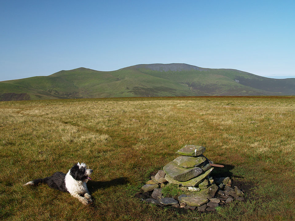 The grassy summit of Mungrisdale Common, with Skiddaw in the background
