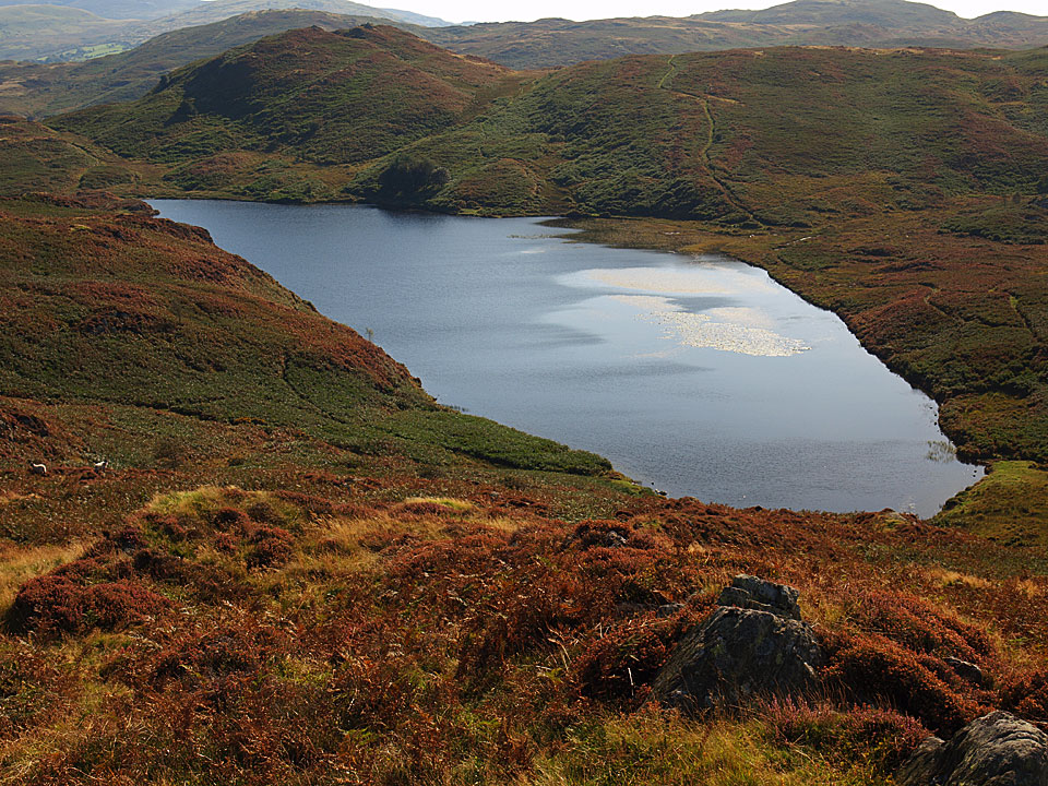 Beacon Tarn, known forever in our house as 'Sparkly Tarn' due to the moniker Connie gave it a couple of years ago