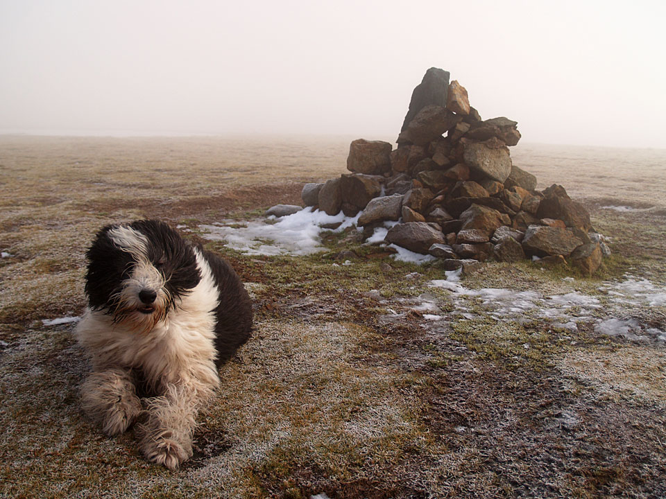 Into the freezing mist on the summit of Stybarrow Dodd