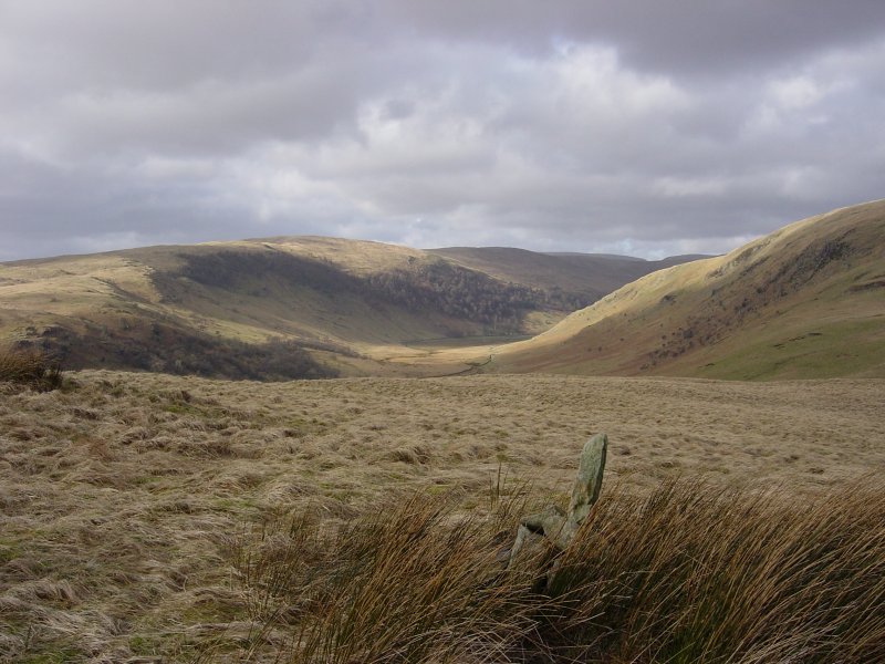 Bannisdale from Lamb Pasture