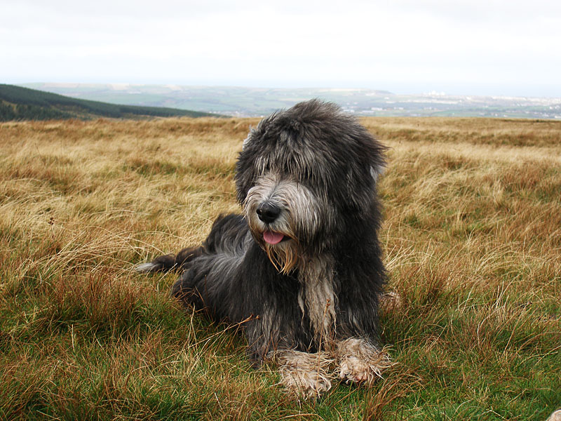 Angus on the summit of Flat Fell