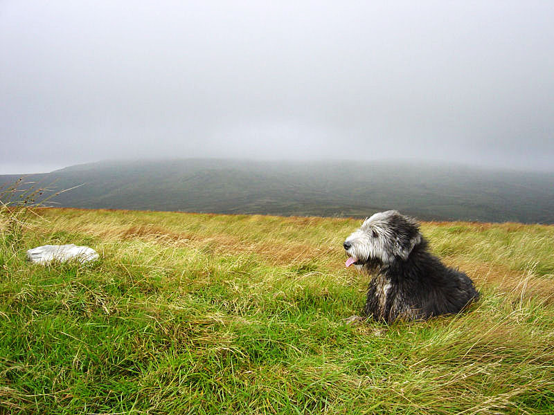 Angus eyes up the small cairn on Lord's Seat as the mist descends top the north over Harrop Pike and Sleddale Fell