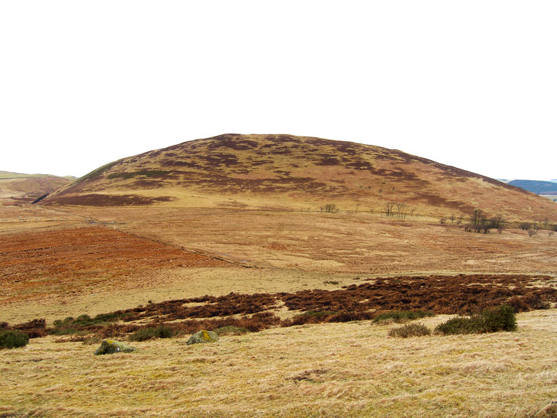 Ling Fell across Wythop Moss from Burthwaite Heights