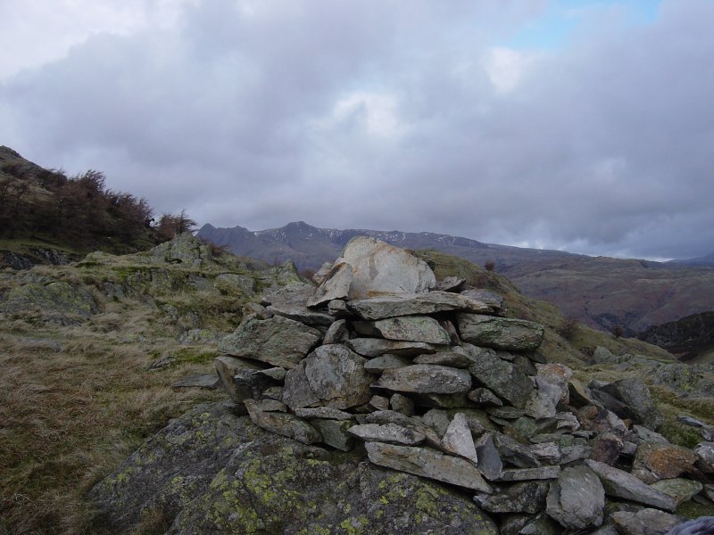 The Langdale Pikes from Haystacks (the Tilberthwaite one)