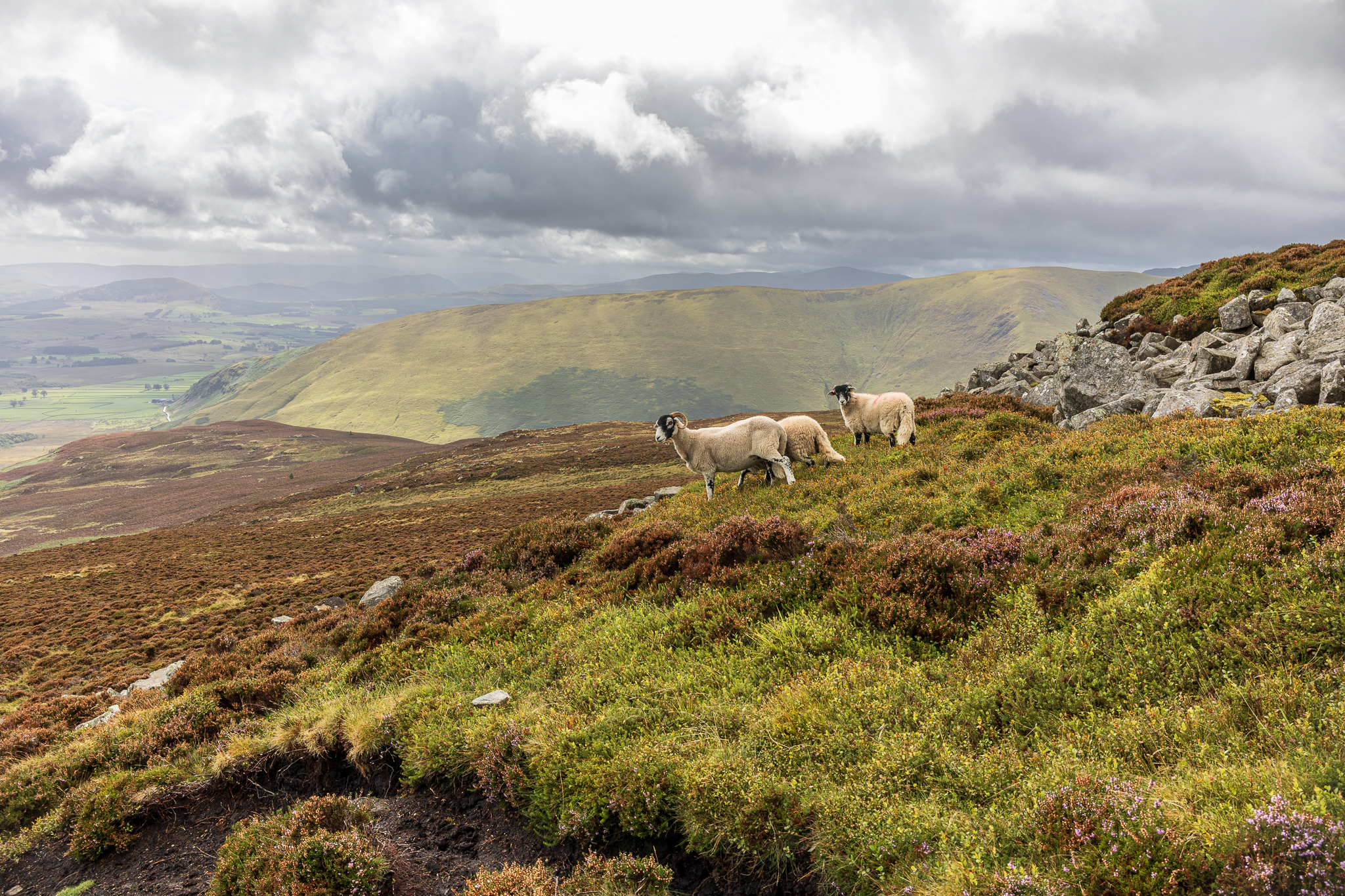 Carrock Fell – Coming Soon