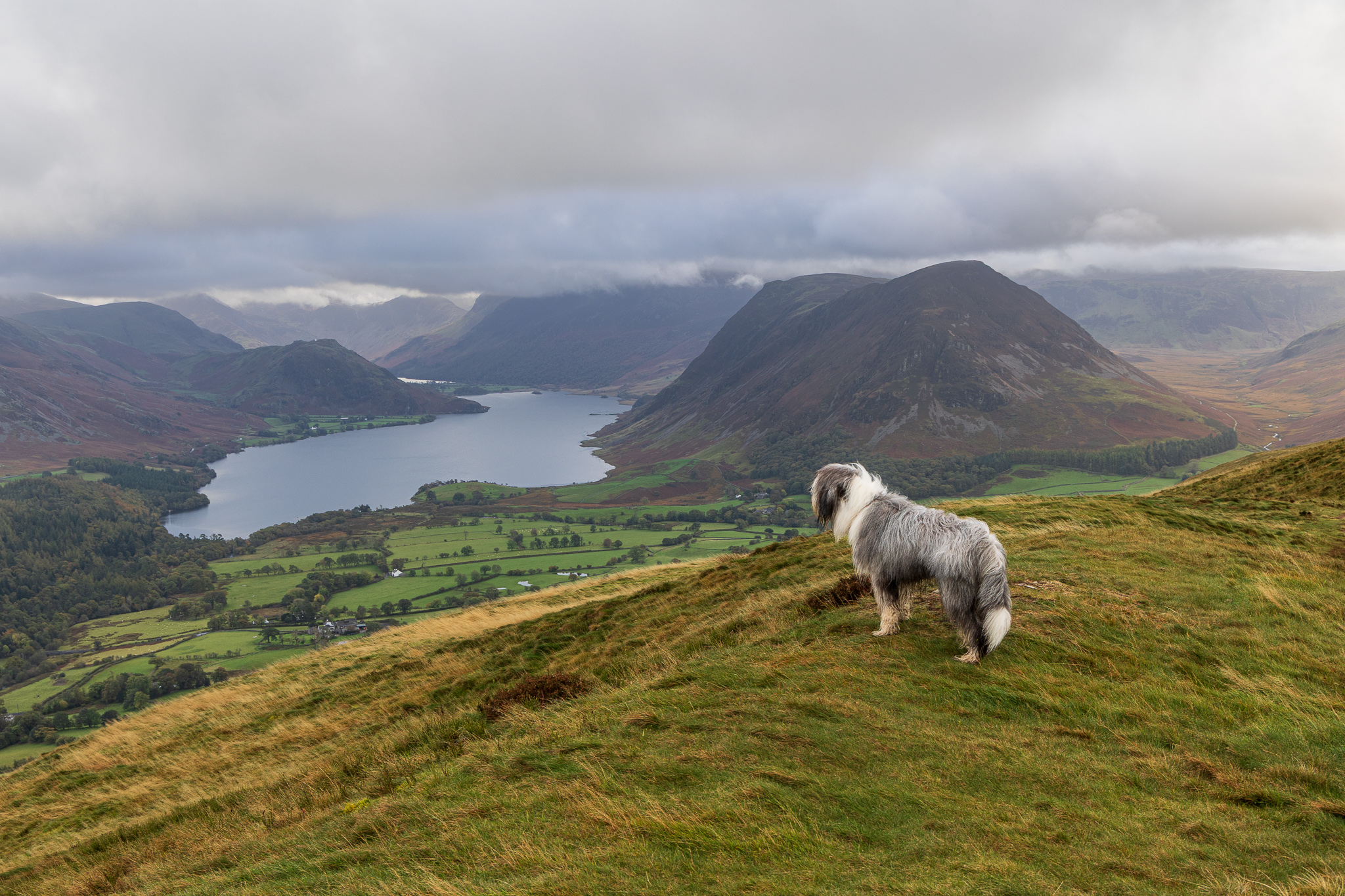 Fellbarrow – Coming Soon