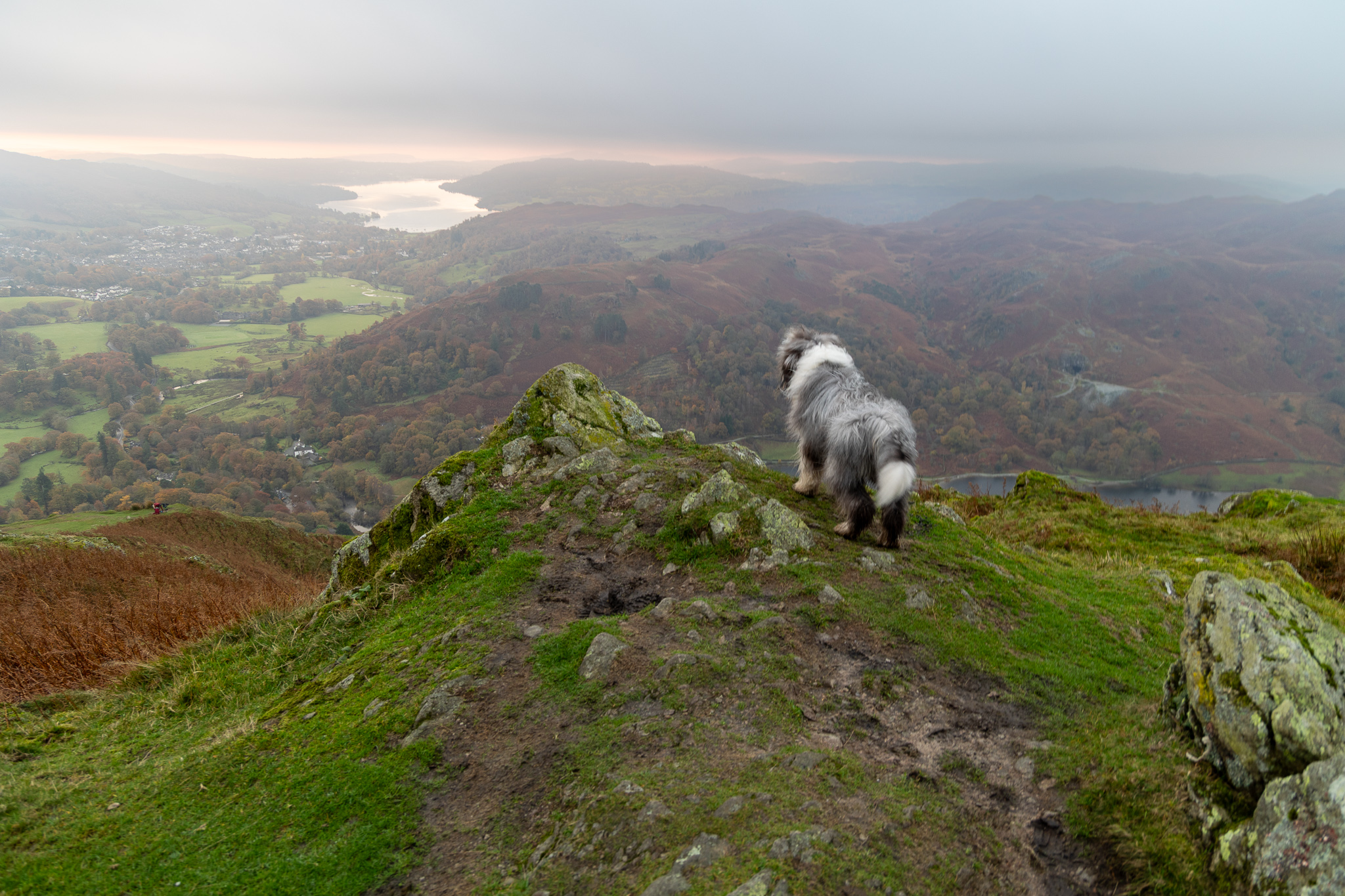 Fairfield Horseshoe – Coming Soon